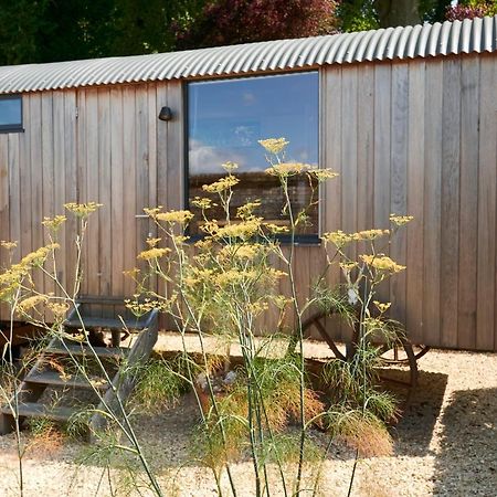 Villa Hut64 Alderbury Exterior foto